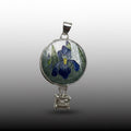 Blue Iris