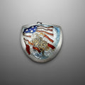 USA American eagle and flag