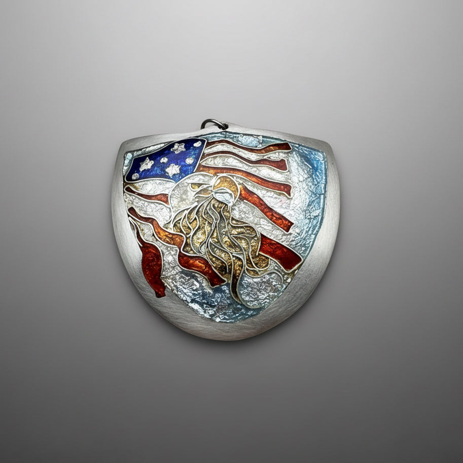 USA American eagle and flag